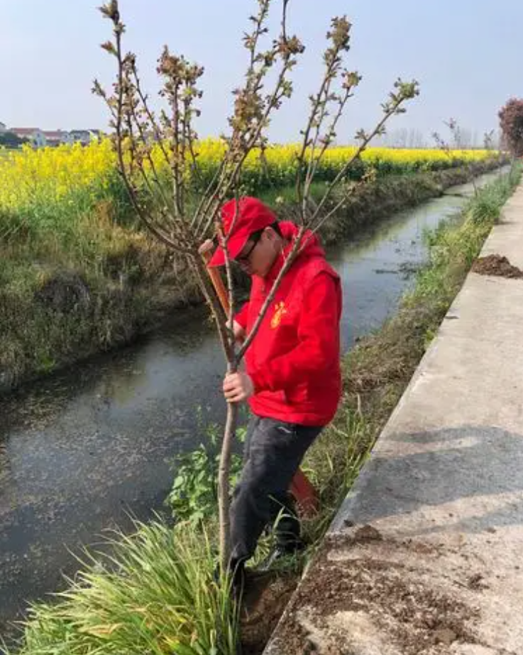 工程名称：湖南**国家级自然保护区绿植采购